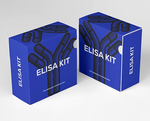 Guinea pig matrix metalloproteinase 9(MMP-9)ELISA kit Guinea pig matrix metalloproteinase 9(MMP-9)ELISA kit